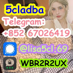 Raw Material 5cl 5cladba Precursor Raw 5cl-adb-a Adbb 5fadb 5f-adb
