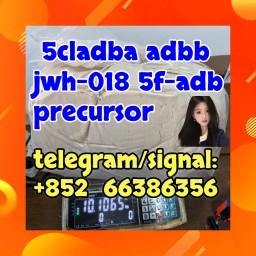 5cladba adbb jwh-018 5f-adb precursor  风格色热