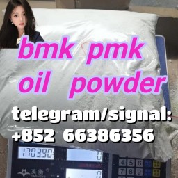 bmk pmk oil powder  一个团体