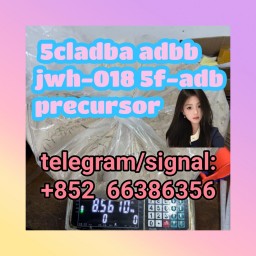 5cladba adbb jwh-018 5f-adb precursor  股份回购回购