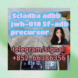 5cladba adbb jwh-018 5f-adb precursor  法国黑色