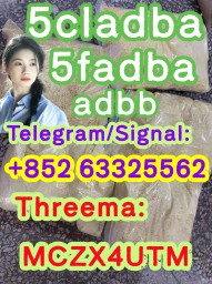 Strong 5cladba raw materials 5CL-ADB precursor powder supplier