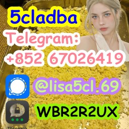 Strong 5cladba raw materials 5CL-ADB precursor powder supplier