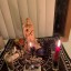 +2349132649238  I WANT TO JOIN OCCULT TO BE FREE FROM MY ENEMY IN RIVERS STATE