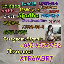 high-quality-99-cas-5449-12-7-bmk