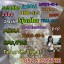 Buy 5CLADBA,5cladba,5cl-adb,5-cl-adb-a,5cl,6cladba,4fmdmb