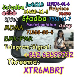 BMK 5449-12-7,20320-59-6 & PMK Glycidate 28578-16-7 Sup