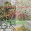 5cladba,5cladba,5cl,5ck-adb-a,yellow Powder,high Quality,99%