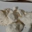 Threema ID: FA8K9CNT /  Cathinone  order A-PHP , Buy 3МMC ,order 4MMC , buy 4CMC , order 4CEC ,buy 4