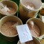 SR17018, Etomidate, tiletamine, best prices ,Ketamine S Isomer, Ketamine R Isomer,K Pod - Etomidate