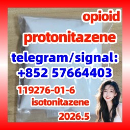 Factory Produces High Quality cas.119276-01-6 Protonitazene