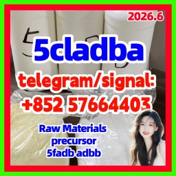 5cl-adb Powder Supplier 5cl Adb 5cladba In Stock