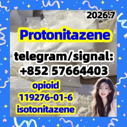 Protonitazene (hydrochloride) 119276-01-6