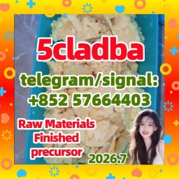5cl adb 5fadb raw materials 5 - Bromo - 1 - pentene ab