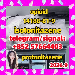 Isotonitazene cas 14188-81-9 white color