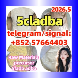 5cladba 5CLADBA 5cladba 5cl 现货