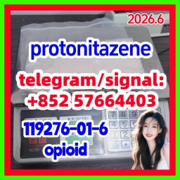 119276-01-6 protonitazene hcl opioid analgesia and sedative