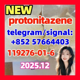 CAS 119276-01-6 Protonitazene (hydrochloride) ISO power CAS 119276-01-6 Protonitazene (hydrochloride) ISO power