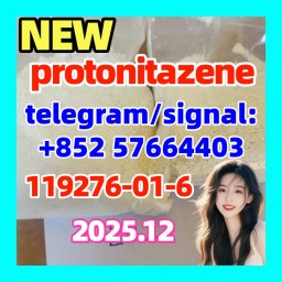 protonitazene 119276-01-6 protonitazene 119276-01-6