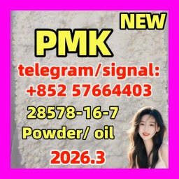 Pmk Ethyl Glycidate Cas 28578-16-7 C13h14o5 With High Purity at Best Price
