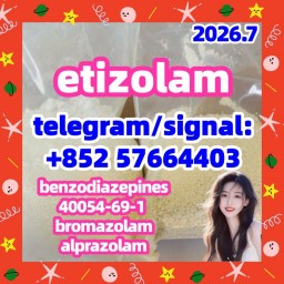 etizolam 40054-69-1
