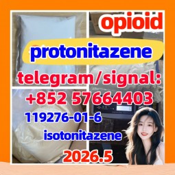 CAS 119276-01-6 Protonitazene 强效