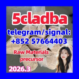 5cladba raw material 5CL-ADB-A precursor raw 5cladba 5f adb