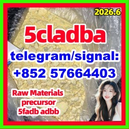 5cladba precursor raw 5cl-adb-a raw material -