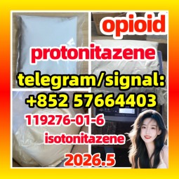 CAS 119276 01 6 Protonitazene 现货