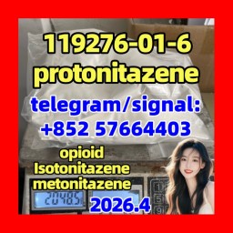 CAS 119276-01-6 Protonitazene