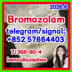 Cas 71368-80-4 Bromazolam 99.8% white powder benzodiazepines Sleeping and sedative