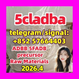 5cladba Raw Materials adbb precursor  68-12-2 dmf