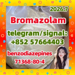 High quality cas 71368-80-4 bromazolam