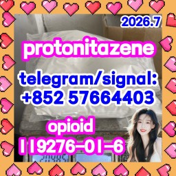 CAS 119276-01-6 Protonitazene