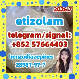 etizolam 40054-69-1