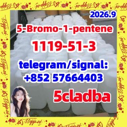 CAS Number 1119-51-3 | 5-Bromo-1-pentene