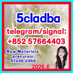 Adbb 5fadb 5cladba 5cladb Cas107976k2co3raw Material