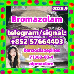 bromazolam 71368-80-4 Etizolam 40054-69-1