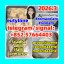 protonitazene opioid 5cladba adbb Raw Materials pmk
