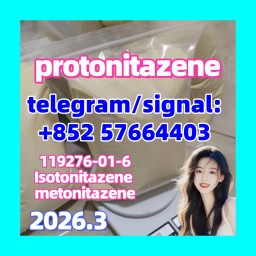 119276-01-6 protonitazene  opioid  isotonitazene metonitazene