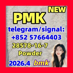 High-Quality P M K Oil CAS 28578-16-7 | Premium Supplier