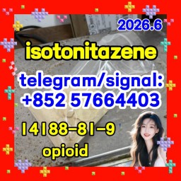 High quality 14188-81-9 Isotonitazene in stock opioid analgesia and sedative