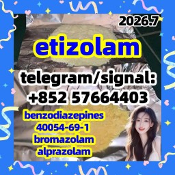etizolam 40054-69-1
