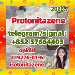 Protonitazene (hydrochloride) (Pronitazene, CAS Number: 119276-01-6)