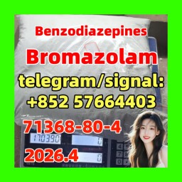 Bromazolam (CAS Number: 71368-80-4)
