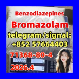 Bromazolam solution CAS 71368-80-4