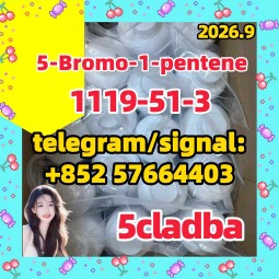 5-Bromo-1-pentene CAS 1119-51-3
