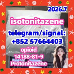 IsotonitazeneCAS:14188-81-9