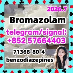 CAS:71368-80-4 Bromazolam